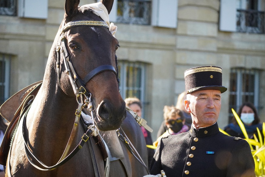 Le Cadre Noir de Saumur sera à Bordeaux lors du Jumping International en février prochain