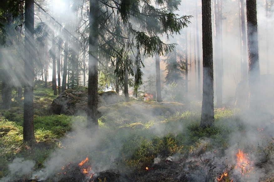 Vigilance orange aux feux de forêt en Lot-et-Garonne et en Gironde