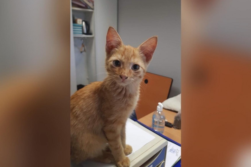 Insolite : la nouvelle recrue (trop mignonne) de la police nationale du Lot-et-Garonne