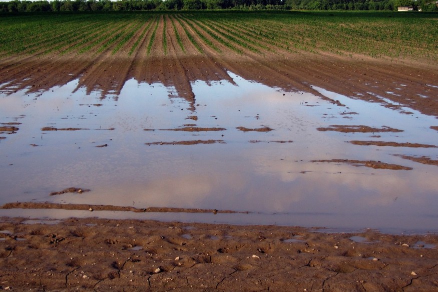 Val de Garonne : le dilemme des digues pour VGA